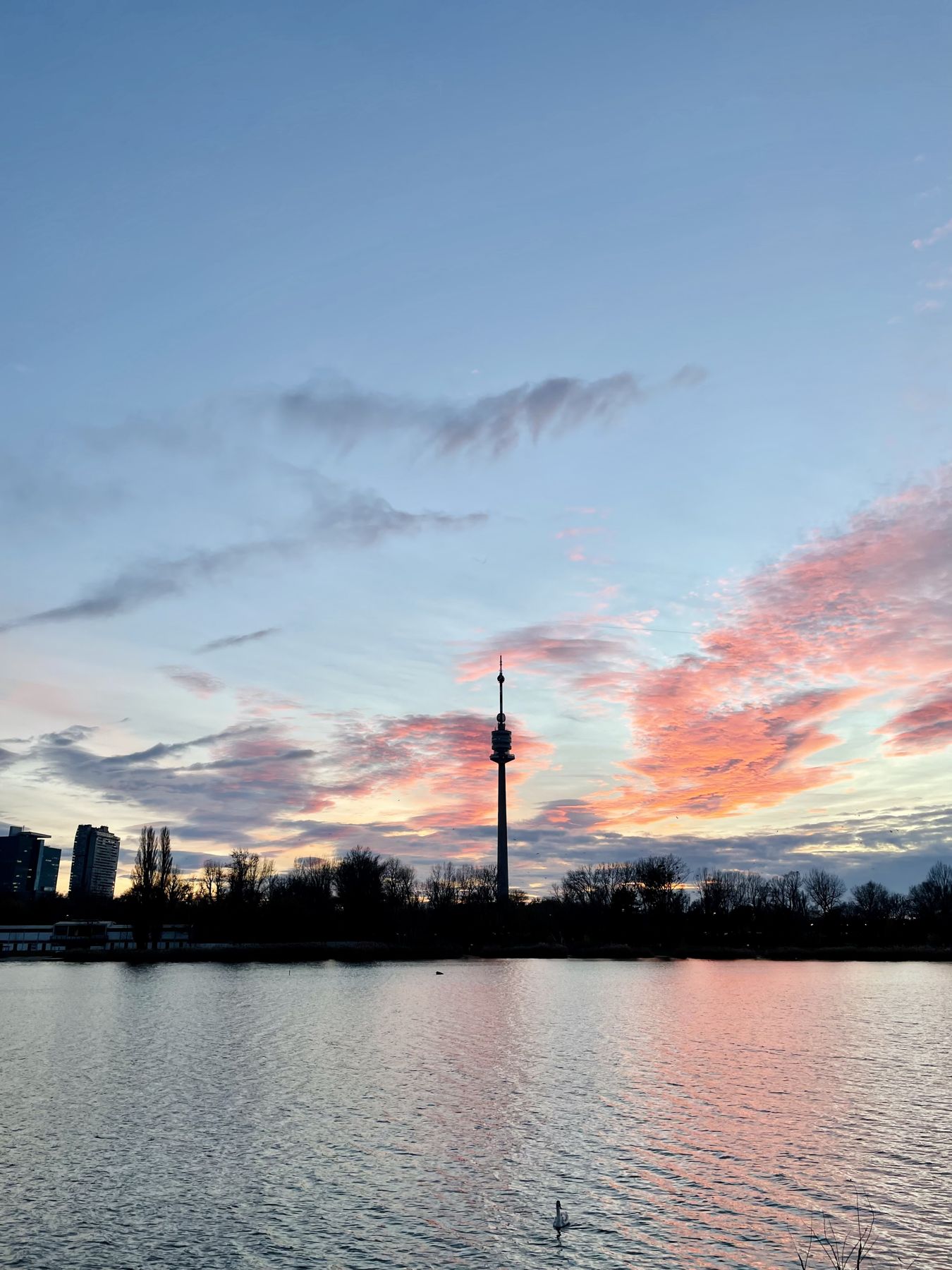 Sonnenuntergang an der Alten Donau